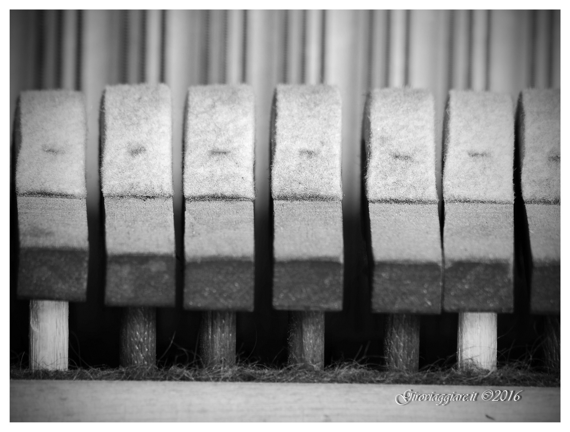 Panasonic 100-300 Close-Up