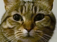 Em5 12800 Iso 100% crop