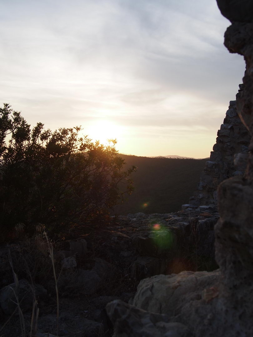 Panasonic 20mm flare