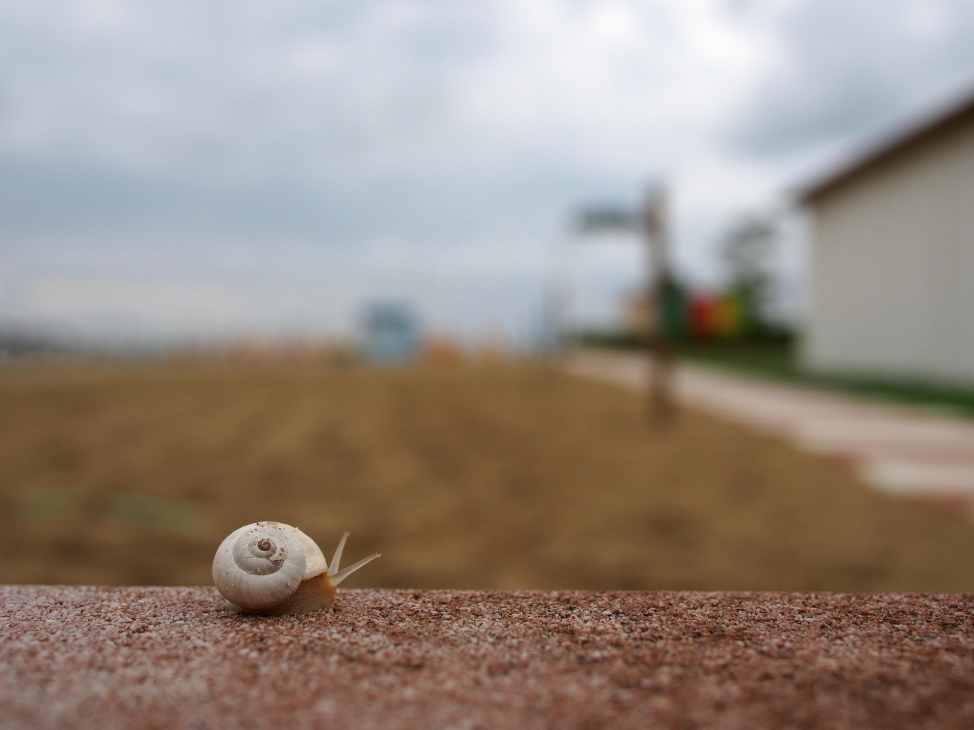 Panasonic 20mm f4.0 bokeh