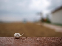 Panasonic 20mm f2.2 bokeh